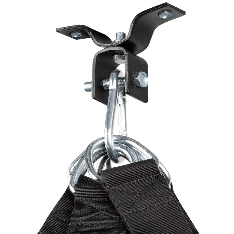 Ceiling Hook 360-Ringhorns