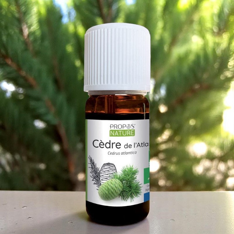 Huile essentielle Cèdre de l'Atlas bio