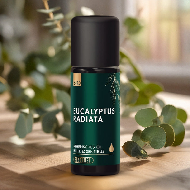 Huile essentielle Eucalyptus Radié Bio