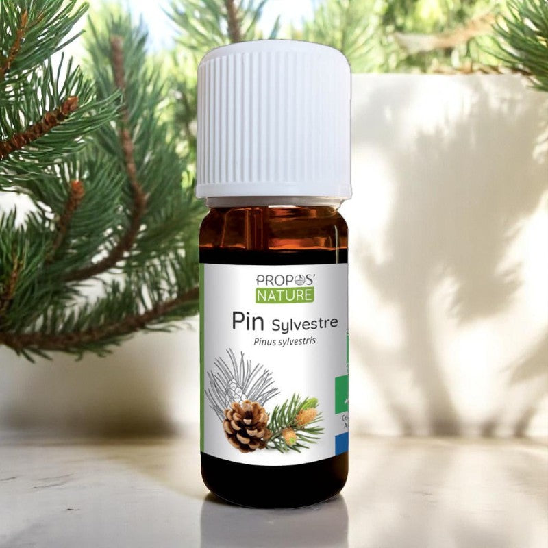 Huile essentielle Pin Sylvestre Bio