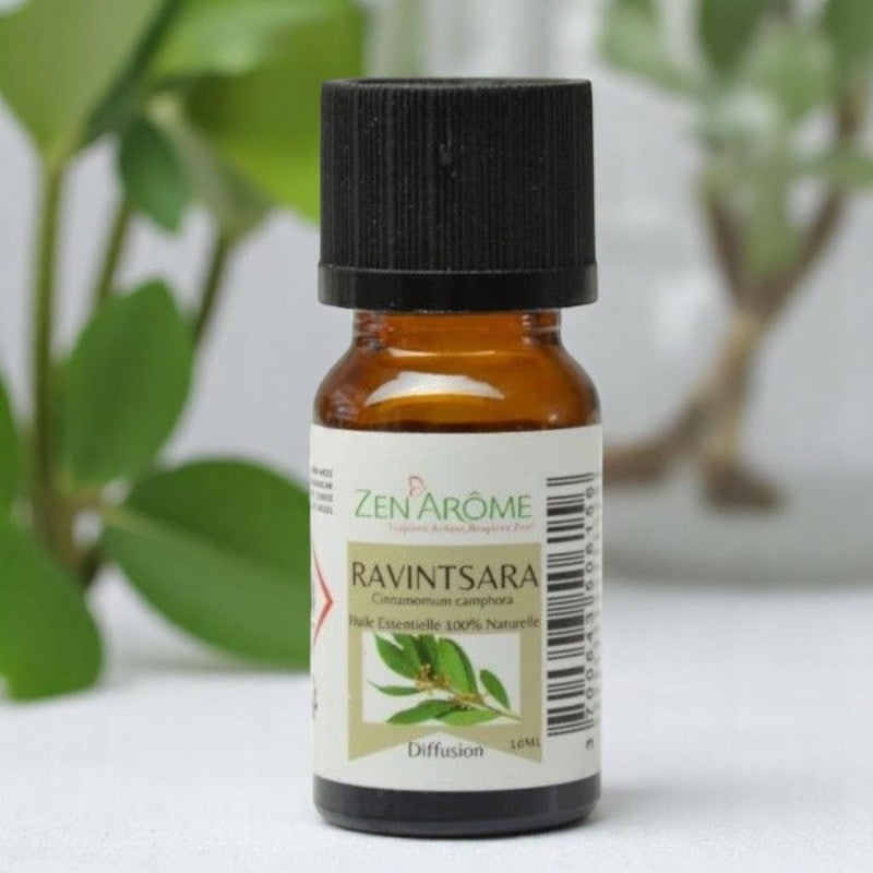 Huile Essentielle Ravintsara