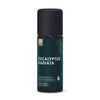 Huile Essentielle Eucalyptus Radié Bio